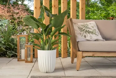 Zdjęcie produktu dla Plastikowa doniczka z wkładem Mira Eco 14,5 cm w kolorze kremowym
