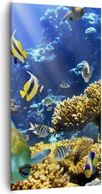 Produktbild von Bild auf Leinwand - Leinwandbild - Korallenriff Ozean Krabbe Fisch - 65x120cm - Wand Bild - Wanddeko - Leinwanddruck - Bilder - Kunstdruck - Leinwand bilder - Wandkunst - PA65x120-2662