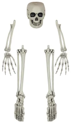 Skelettknochen-Set, 5-teilig, Halloween-Deko, weiß