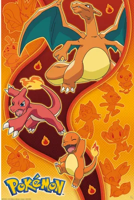 Image de Pokemon - Fire Type - Jeu Anime Poster - Taille 61x91,5 cm