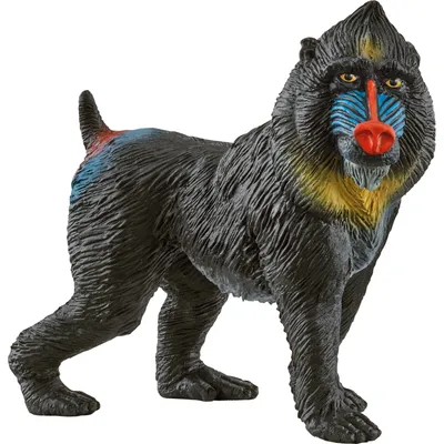 Produktbild von Schleich 14856 - Wild Life, Mandrill, Tierfigur