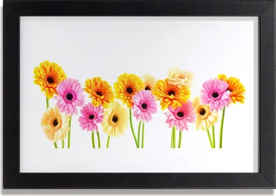 Produktbild von Bild 30x20 MDF-Rahmen Wandkunst Bunte Gänseblümchen