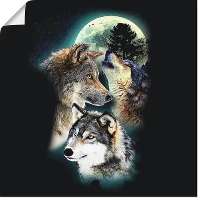 Produktbild von ARTland Poster Phantasie Wolf Wölfe mit Mond Größe: 50x50 cm