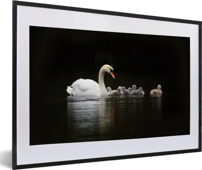 Produktbild von MuchoWow® MuchoWow® Gerahmtes Poster Vögel - Schwan - Küken 60x40 cm - Poster mit zchwarzem Bilderrahmen - Schlafzimmer - Plakat in Rahmen - Drucken