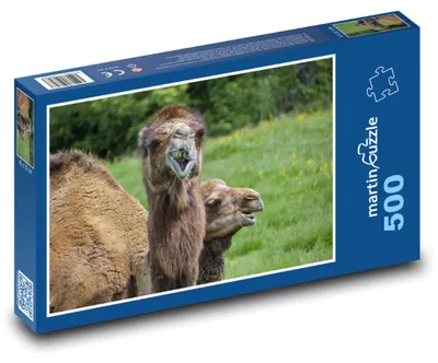 Zdjęcie produktu dla martinpuzzle - Puzzle 500 elementów - Wierzchowiec