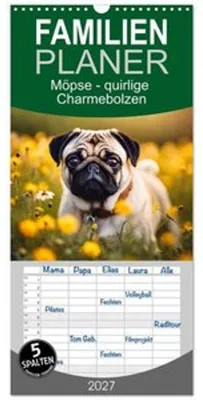 Produktbild von Familienplaner 2027 - Möpse - quirlige Charmebolzen mit 5 Spalten (Wandkalender, 21 x 45 cm) CALVENDO