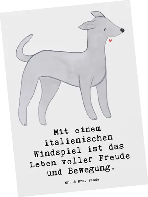 Produktbild von Mr. & Mrs. Panda Postkarte Italienisches Windspiel Glück - Weiß - Geschenk, Ansichtskarte, Abenteuer, Postkarten, Hunderassen Pflege, Grußkarte, Fotokarte, Hunderasse