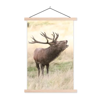 Produktbild von MuchoWow® Textilposter Hirsche - Geweihe - Gras 40x60 cm mit holzfarbenen Rahmen - Poster