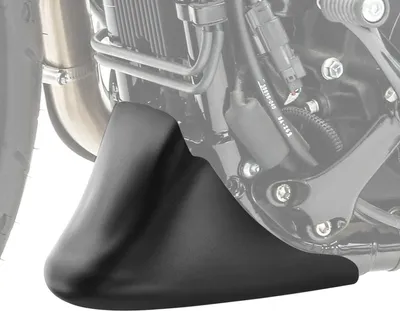 Image de Spoiler de proue pour Harley Davidson Sportster 04-20 # noir