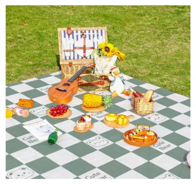 Produktbild von Einweg-Picknickmatte, tragbar, multifunktional, wasserdicht, Strandmatte für Outdoor-Aktivitäten