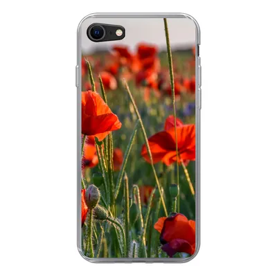 Produktbild von MuchoWow® Handyhülle Schutzhülle Hülle für iPhone SE 2020 Blumen - Mohnblumen - Natur - Rot Silikon Softcase Handy Hülle - Kartenbesitzer