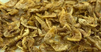 Produktbild von Getzoo Süsswasserschrimps 25g