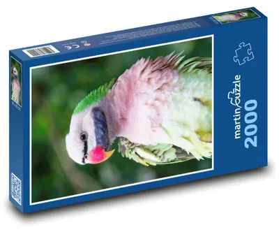 Obrázok produktu pre martinpuzzle - Puzzle 2000 - Farebný papagáj