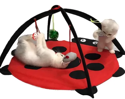 Image de Tapis de jeu pliable pour chats avec jouets suspendus