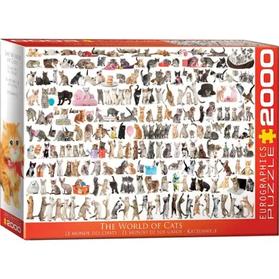 Produktbild von EUROGRAPHICS Puzzle World of Cats 2000 Teile