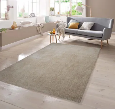Image de Tapis Shaggy, motif uni, couleur beige moka, dimensions : 200 x 290 cm
