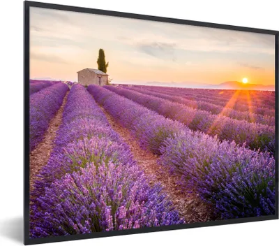Produktbild von MuchoWow® Gerahmtes Poster Lavendel - Sonnenuntergang - Blumen - Lila 80x60 cm - Poster mit Schwarzem Bilderrahmen Wandposter Rahmen Foto Bilder - Schwarzem - Mit Gestell