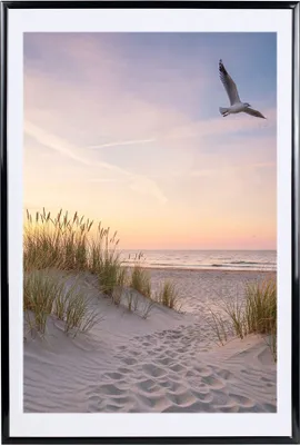 A path through sand dunes with tall grass leads to a beach at sunset, with a seagull flying in the sky.