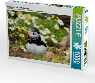 Produktbild von CALVENDO Puzzle Papageitaucher am Latrabjarg | 1000 Teile Lege-Größe 64x48cm Foto-Puzzle für glückliche Stunden