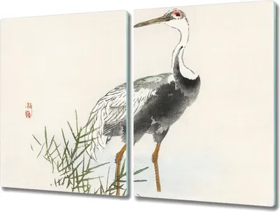 Produktbild von Coloray Herdabdeckplatte 2x40x52 cm Schneidebrett Kochplattenabdeckung Küchenbrett Hackbrett - Tier Vogel