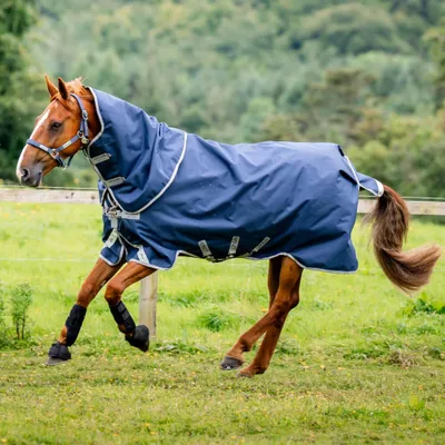 Image de Horseware Amigo 1200D Plus, couverture de monte extérieure, 250g, taille : 145 cm / 6'6, couleur : bleu marine/gris titane/argent
