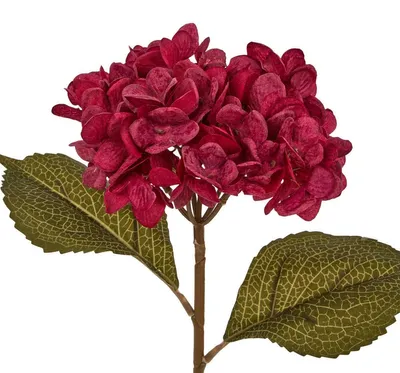 Produktbild von Kunstblume crush, h. 62 cm - Atmosphera créateur d'intérieur