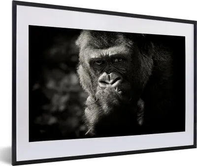 Produktbild von MuchoWow® MuchoWow® Gerahmtes Poster Tierprofil Gorilla in schwarz und weiß 60x40 cm - Poster mit zchwarzem Bilderrahmen - Schlafzimmer - Plakat in Rahmen - Drucken