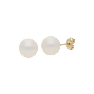 Produktbild von Ohrstecker Gold 585 Süßwasser Zuchtperle JL10-06-2630 JuwelmaLux