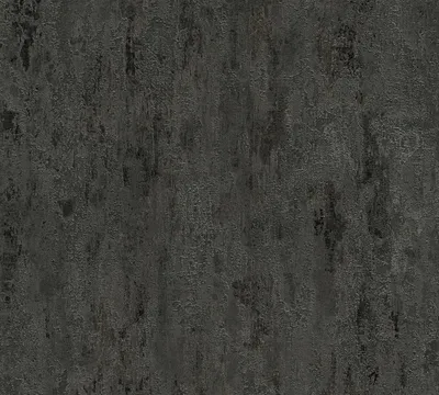 Obrázek produktu pro A.S. Création vintage tapeta Elements netkaná tapeta černá stříbrná šedá 10,05 m x 0,53 m