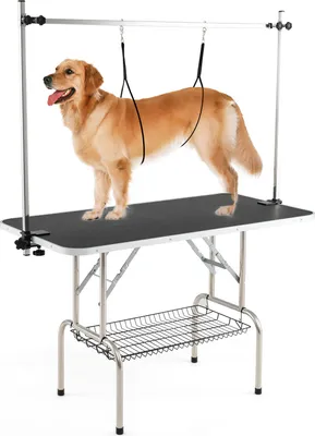 Produktbild von COSTWAY Hundepflegetisch klappbar, Haustierpflegetisch höhenverstellbar, Trimmtisch mit Netzkorb&2 Schlingen, für Hunde, bis 150 kg belastbar, Schwarz