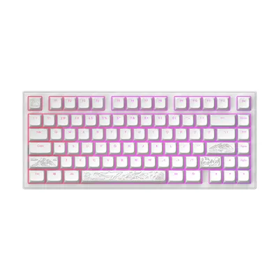 Zdjęcie produktu dla Mechaniczna klawiatura gamingowa Dark Project ALU81A Terra Nostra White RGB