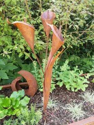 Produktbild von Edelrost Blume Calla zum Stecken