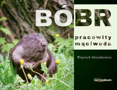 Obrázok produktu pre Bóbr - pracowity mąciwoda - książka