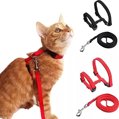 Produktbild von Verstellbares Katzenharness mit Leine - Sicherheit und Komfort für Katzen und Kätzchen