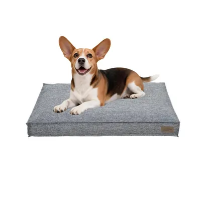 Image de WISFOR Lit pour chien, canapé pour chien, coussin pour chien, antidérapant, housse amovible et lavable, L : 88,5 x 59,5 x 10 cm, gris