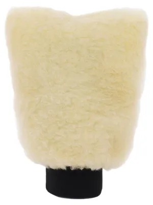 Image de Brosse EINPARTS pour l'intérieur de la voiture EPACC204 250 mm