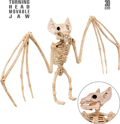 Produktbild von WIDMANN Deko Fledermaus Skelett 30cm
