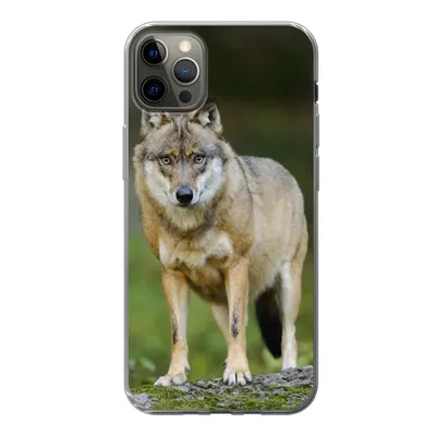 Produktbild von MuchoWow® Handyhülle Schutzhülle Hülle für iPhone 13 Pro Max Wolf - Asien - Pflanzen Silikon Softcase Handy Hülle - Mobiltelefon