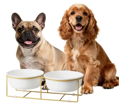 Immagine prodotto di Set di ciotole per cani rialzate, in Vetroceramica con supporto in metallo, 2 ciotole da 600 ml, colore bianco