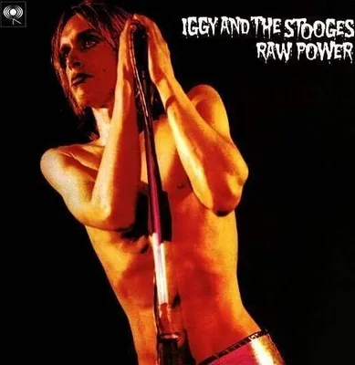 Productafbeelding van Iggy & The Stooges - Raw Power