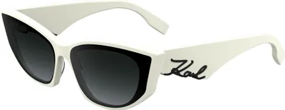 Immagine prodotto di Occhiali Karl Lagerfeld kl6162s105