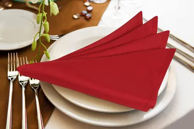 12er-Set Stoffservietten – 100% Baumwolle, 46x46 Cm, Grau, Maschinenwaschbar, Mit Hohlsaum