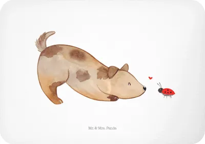 Produktbild von Mr. & Mrs. Panda Kühlschrankmagnet Hund Marienkäfer - Weiß - Geschenk, zettelhalter, whiteboardmagnet, Mischlingshund, Notizhalter, Sprüche, holzmagnet, Neugierig, Hunde