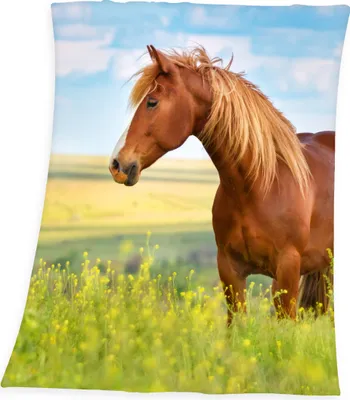 Produktbild von Pferd Fleece-Decke / 130x160 cm