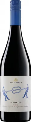 Produktbild von Merlot Piave DOC 2025 Venetien | Italien | 12,5% vol | 0,75 l