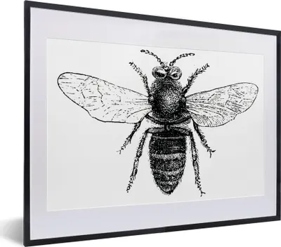 Produktbild von MuchoWow® MuchoWow® Gerahmtes Poster Eine Illustration einer Biene in Schwarz-Weiß 40x30 cm - Poster mit zchwarzem Bilderrahmen - Bilderrahmen - Poster im Rahmen
