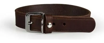 Produktbild von Das Lederband Hundehalsband Weinheim Mocca, Länge: 42 cm