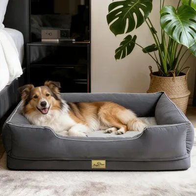 Immagine prodotto di Letto per cani WISFOR, divano per cani, cuscino per cani, bordi rialzati, lavabile, dimensioni 105x75,5x21 cm