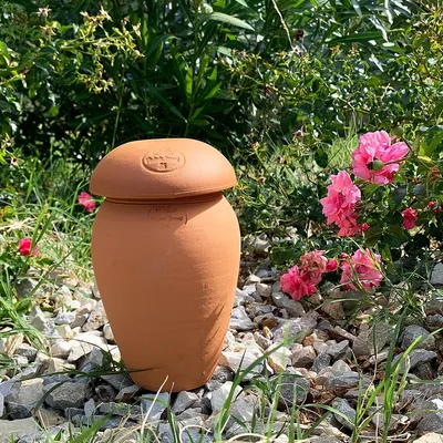 Image de Ollas ORIGIN d'irrigation - 1,5 L