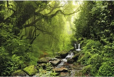 Produktbild von Fototapete Vlies 211047 Subtropical Jungle 8-tlg. 400 x 260 cm